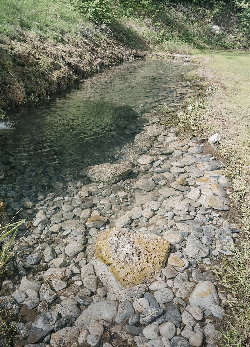 Sauberer Teich nach der Teichreinigung